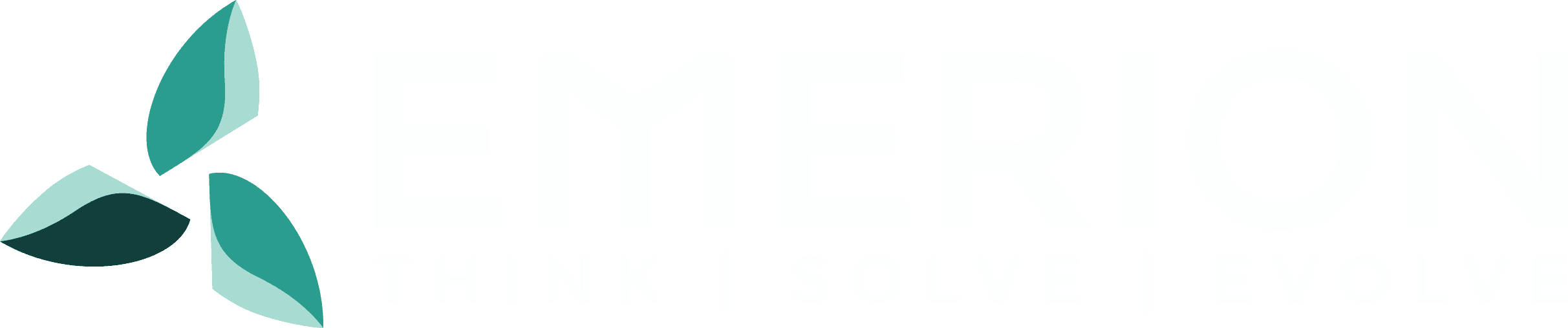 Emerion Partners
